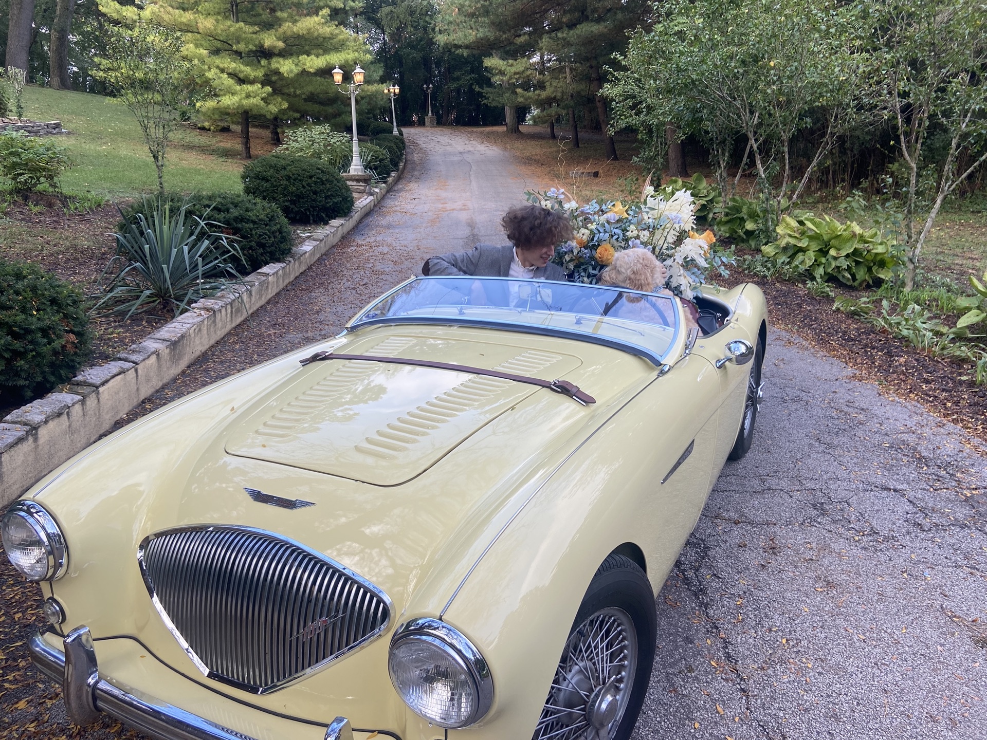 1955 Austin-Healey